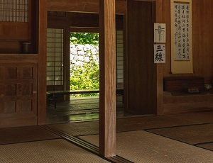 Гостиная в японском стиле – формируем настроение «дзен»