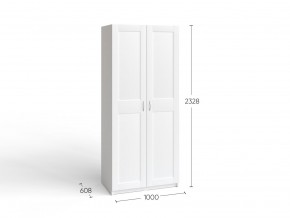 2.06.01.050.4 МАКС шкаф 2 двери 100х61х233 серый RU в Глазове - glazov.ok-mebel.com | фото 4