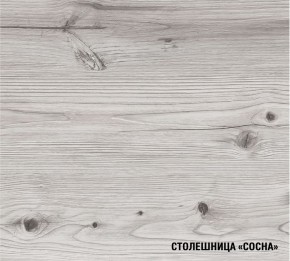 АСАЯ Кухонный гарнитур Экстра 2 (3000 мм) ПМ в Глазове - glazov.ok-mebel.com | фото 8