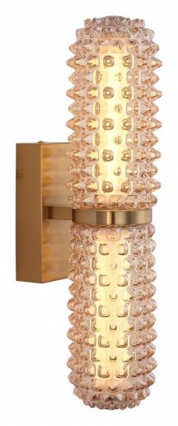 Бра ST-Luce SAGUARO SL6144.301.01 в Глазове - glazov.ok-mebel.com | фото 2