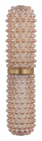 Бра ST-Luce SAGUARO SL6144.301.01 в Глазове - glazov.ok-mebel.com | фото 4