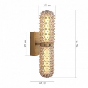 Бра ST-Luce SAGUARO SL6144.301.01 в Глазове - glazov.ok-mebel.com | фото 5