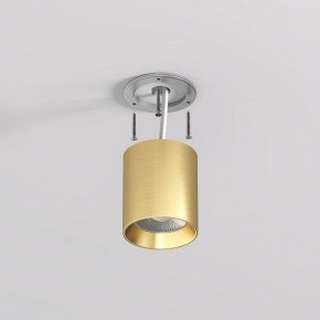 DK2610-SB Накладной светильник SHINE TUBE со светодиодом, D70*H80, IP20, 3000К, 10W, RA?90, сатинированная латунь, алюминий в Глазове - glazov.ok-mebel.com | фото 3