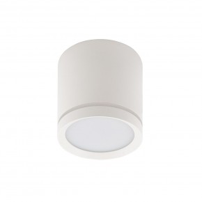 DK4013-WH Светильник накладной IP 20, 5 Вт, LED 4000, белый, алюминий/акрил в Глазове - glazov.ok-mebel.com | фото 2