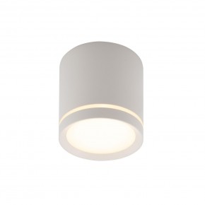 DK4016-WH Светильник накладной IP 20, 5 Вт, LED 3000, белый, алюминий/акрил в Глазове - glazov.ok-mebel.com | фото