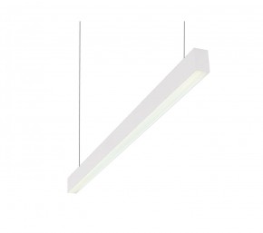 DK9124-WH Линейный светильник 30W 1250mm 4000K, белый в Глазове - glazov.ok-mebel.com | фото