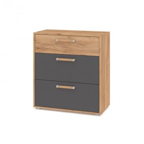 ФЛОРИДА Гостиная (модульная) дуб золотой/графит в Глазове - glazov.ok-mebel.com | фото 8