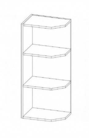 КГ "Агава" ВВТ285 Шкаф навесной торцевой h 900 в Глазове - glazov.ok-mebel.com | фото