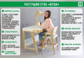 Комплект растущий стол и стул с чехлом 38 попугаев «Вуди» (Белый, Белый, Салют) в Глазове - glazov.ok-mebel.com | фото 3
