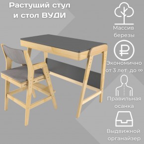 Комплект растущий стол и стул с чехлом 38 попугаев «Вуди» (Серый, Без покрытия, Серый) в Глазове - glazov.ok-mebel.com | фото 2