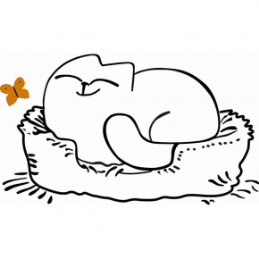 Кровать двухуровневая Кот № 900.1 ПРАВАЯ (туя светлая/белый) в Глазове - glazov.ok-mebel.com | фото 2