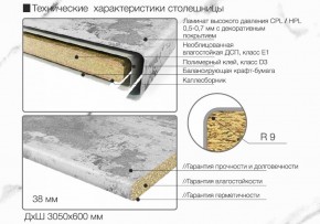 Кухонный фартук со столешницей (А-014) в едином стиле (3050 мм) в Глазове - glazov.ok-mebel.com | фото 7