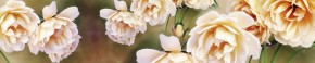 Кухонный фартук Цветы 066 МДФ матовый (3000) Flowers в Глазове - glazov.ok-mebel.com | фото 1