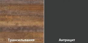 Кухонный гарнитур угловой Трансильвания 2600х1600 мм (Стол. 38 мм) в Глазове - glazov.ok-mebel.com | фото 3