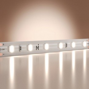 Лента светодиодная Maytoni Base 201179 в Глазове - glazov.ok-mebel.com | фото