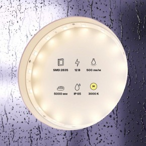 Лента светодиодная Maytoni Led strip 10105 в Глазове - glazov.ok-mebel.com | фото 2