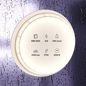 Лента светодиодная Maytoni Led strip 10118 в Глазове - glazov.ok-mebel.com | фото 2