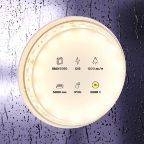 Лента светодиодная Maytoni Led strip 10131 в Глазове - glazov.ok-mebel.com | фото 2