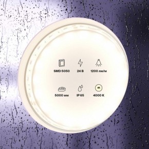 Лента светодиодная Maytoni Led strip 10172 в Глазове - glazov.ok-mebel.com | фото 2