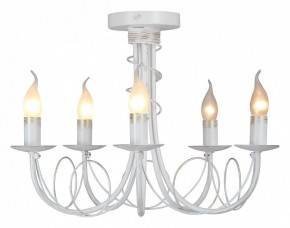Люстра на штанге Vitaluce V3035 V3035-0/5PL в Глазове - glazov.ok-mebel.com | фото 2