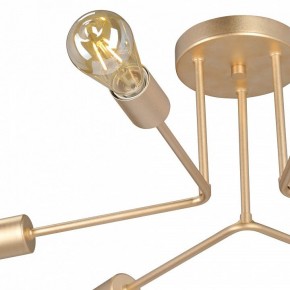 Люстра на штанге Vitaluce V3071 V3071-8/6PL в Глазове - glazov.ok-mebel.com | фото 6