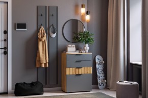 МЕБЕЛЬСОН К21 Прихожая  (графит) в Глазове - glazov.ok-mebel.com | фото