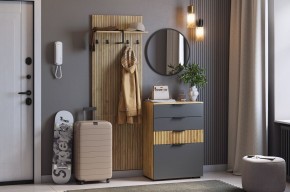 МЕБЕЛЬСОН К3 Прихожая (графит) в Глазове - glazov.ok-mebel.com | фото