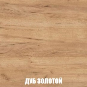 МСП-1 Шкаф 2-х створчатый (Дуб Золотой/Камень темный) в Глазове - glazov.ok-mebel.com | фото 4