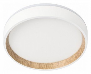 Накладной светильник Citilux Etalon CL750180 в Глазове - glazov.ok-mebel.com | фото