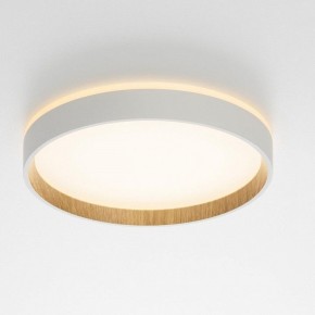 Накладной светильник Citilux Etalon CL750240 в Глазове - glazov.ok-mebel.com | фото 12