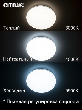 Накладной светильник Citilux Симпла CL714330G в Глазове - glazov.ok-mebel.com | фото 4