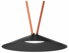 Накладной светильник Denkirs Belty Flow DK5568-BK в Глазове - glazov.ok-mebel.com | фото 2