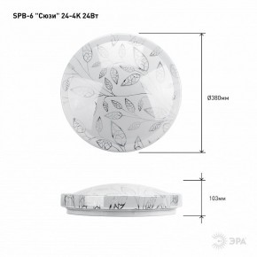 Накладной светильник Эра Классик SPB-6-24-4K (C) в Глазове - glazov.ok-mebel.com | фото 6