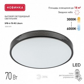 Накладной светильник Эра Классик SPB-6-70-RC Liburn в Глазове - glazov.ok-mebel.com | фото 10