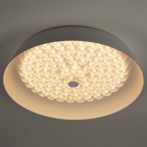 Накладной светильник Эра  SPB-6-60-RC Locus RGB в Глазове - glazov.ok-mebel.com | фото 6