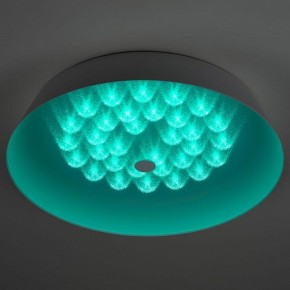Накладной светильник Эра  SPB-6-80-RC Locus RGB в Глазове - glazov.ok-mebel.com | фото 7