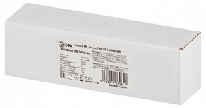 Накладной светильник Эра  TRM-S5-1-6W4K-WH в Глазове - glazov.ok-mebel.com | фото 6