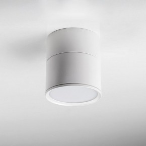 Накладной светильник Lightstar Acuto 215886 в Глазове - glazov.ok-mebel.com | фото 3