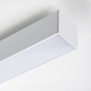 Накладной светильник Lightstar Lilla 202146 в Глазове - glazov.ok-mebel.com | фото 4