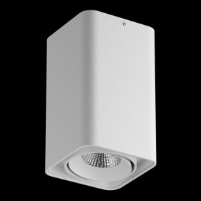 Накладной светильник Lightstar Monocco 052136-IP65 в Глазове - glazov.ok-mebel.com | фото 2