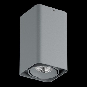 Накладной светильник Lightstar Monocco 052139-IP65 в Глазове - glazov.ok-mebel.com | фото 2