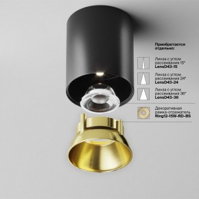 Накладной светильник Maytoni Alfa LED C064CL-12W4K-RD-B в Глазове - glazov.ok-mebel.com | фото 3