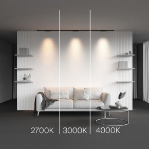 Накладной светильник Maytoni Points TR193-1-10W2.7K-M-B в Глазове - glazov.ok-mebel.com | фото 2