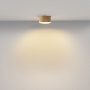 Накладной светильник Maytoni Zon C032CL-12W2.7K-RD-MG в Глазове - glazov.ok-mebel.com | фото 4