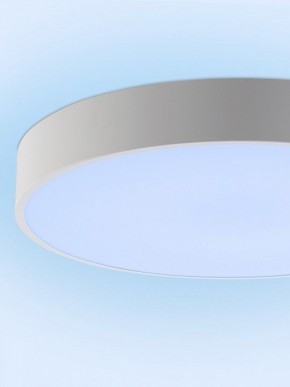 Накладной светильник Natali Kovaltseva MODERN LED LAMPS 81105/2C в Глазове - glazov.ok-mebel.com | фото 12