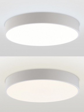 Накладной светильник Natali Kovaltseva MODERN LED LAMPS 81105/2C в Глазове - glazov.ok-mebel.com | фото 4