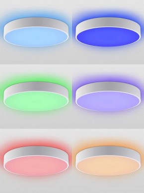 Накладной светильник Natali Kovaltseva MODERN LED LAMPS 81105/2C в Глазове - glazov.ok-mebel.com | фото 5