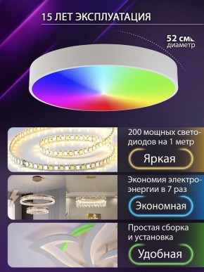 Накладной светильник Natali Kovaltseva MODERN LED LAMPS 81105/2C в Глазове - glazov.ok-mebel.com | фото 6