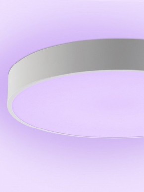 Накладной светильник Natali Kovaltseva MODERN LED LAMPS 81105/2C в Глазове - glazov.ok-mebel.com | фото 9