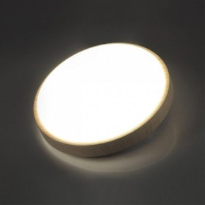 Накладной светильник Sonex Losta 7607/CL в Глазове - glazov.ok-mebel.com | фото 3
